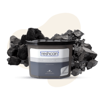 FRESHCANT Compact Moisture Absorber – CHARCOAL